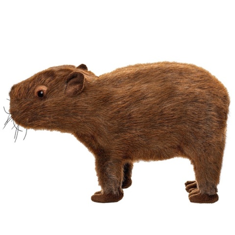 Kapibara 33 cm
