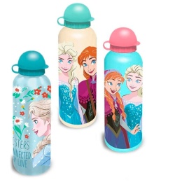 Bidon aluminiowy 500 ml. Frozen